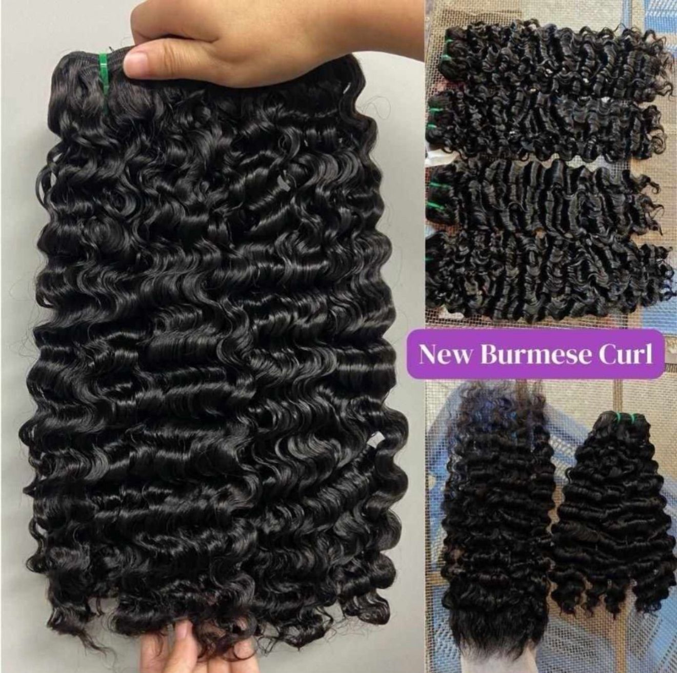 Princess Burmese Curly (3/4) Bundle Deals (1-3 Day Processing Time)